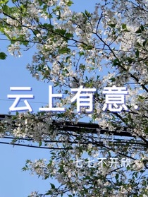 云上有意