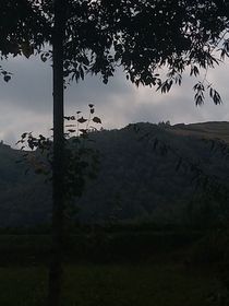 那年夏天的余輝