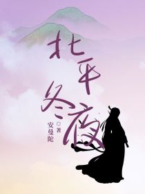 夜子，你说，北平的那边是什么，别名：北平冬夜