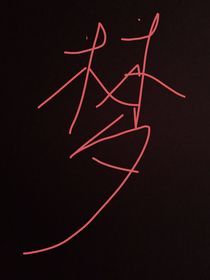 她曾经来过的梦