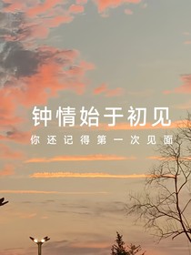 钟情始于初见（停更）