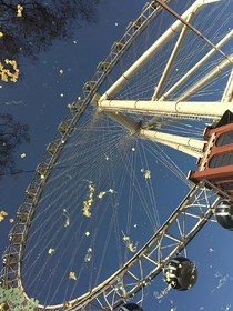 来年春渐浓