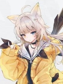 猫武士灵魂之战