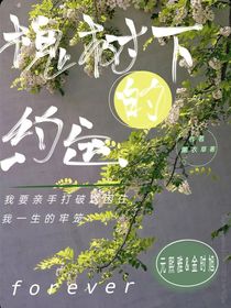 槐树下的约定Y