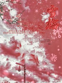 雪……梅