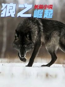狼之崛起