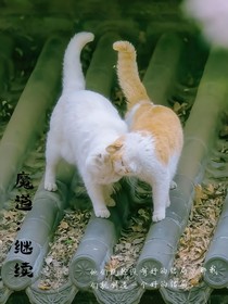 魔道：继续