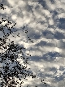 文案館（時(shí)更隨筆）