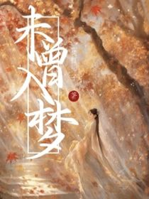 未曾入梦