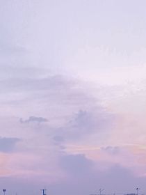 雨后櫻樹下