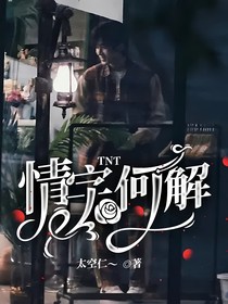 TNT情字何解