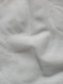 熊出沒(méi)……怪談