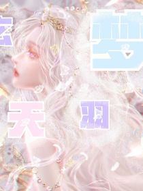 玄天羽梦