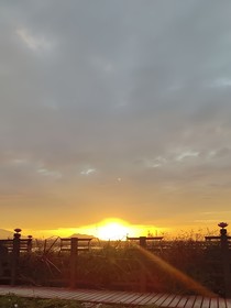 omega是個小哭包