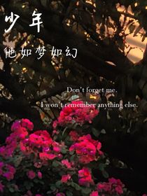 少年他如梦如幻