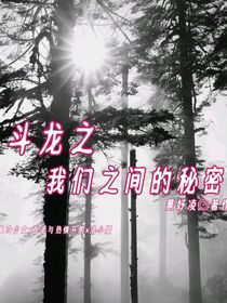 斗龙之我们之间的秘密