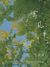 等风来（何必去追风呢，等风来不挺好的么）