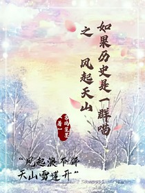 如果历史是一群喵之风起天山