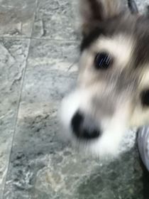 初中校园那些破烂事儿