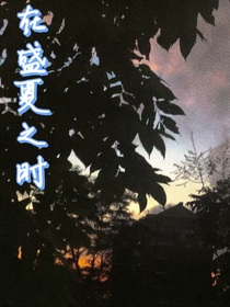 在盛夏之時