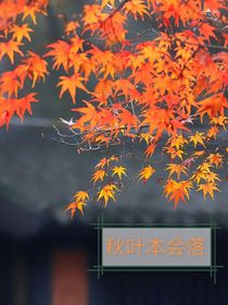 秋葉本會落