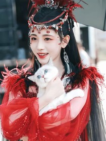 綜影視：情淡如水