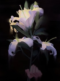 色彩与她