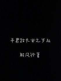 寻君踏长安之岁起