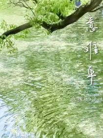 意难平（暗恋）