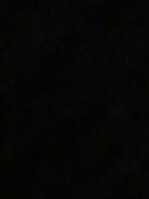 我CP存文，勿点