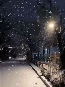 雪寄情思