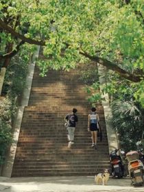 青春揮灑自如
