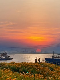 橘与海