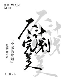 不完美計(jì)劃