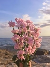 界点游戏
