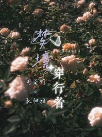 梦境穿行者