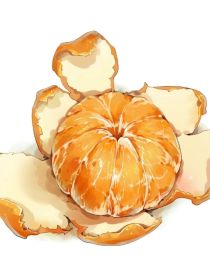 烂橘子
