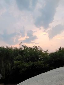葱葱时光