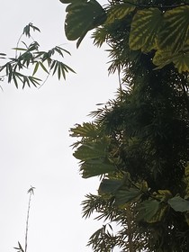 我喜欢你不用理由
