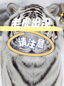 熊出沒，老虎出沒，請注意！