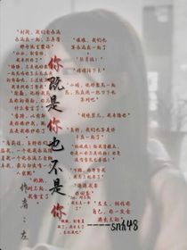你既是你又不是你——snh48
