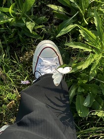 只是剛好情竇初開