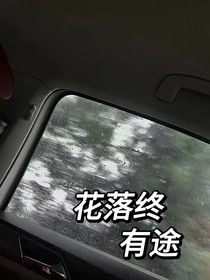 TF三代：花落終有途