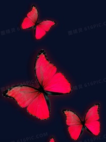 凹凸：穿越文