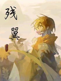 殘翼——鬼影迷蹤主線