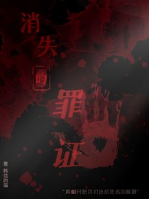 消失的罪證