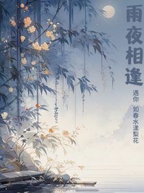 雨夜相逢