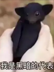 恋爱冒险