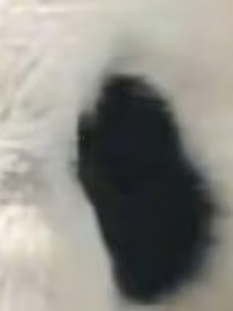 江川游