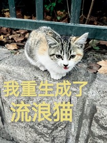 我重生成了流浪猫